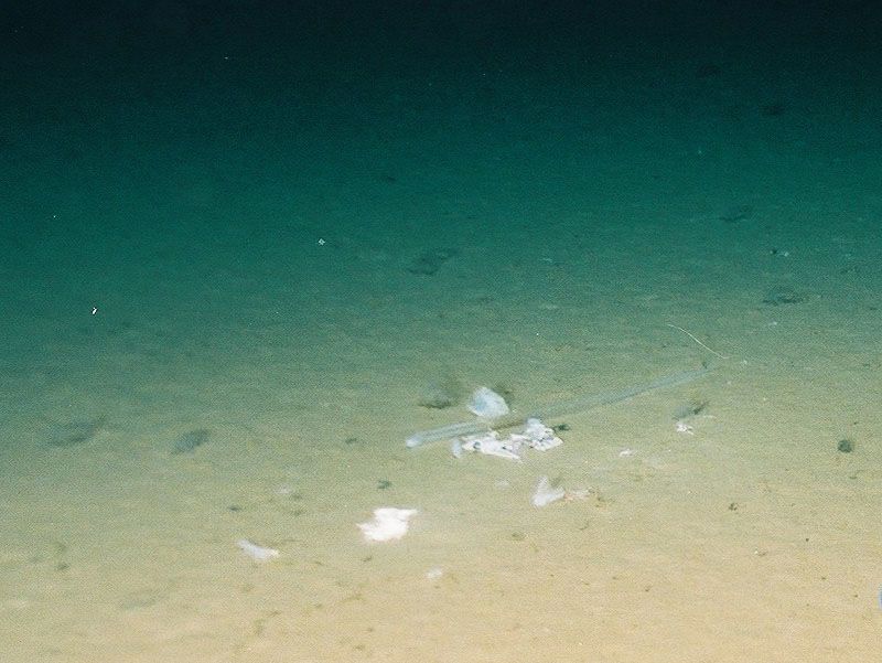 マリアナ海溝に沈んだビニール袋