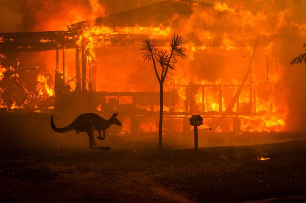 オーストラリアの大規模火災